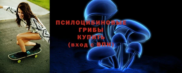 мяу мяу мука Абаза