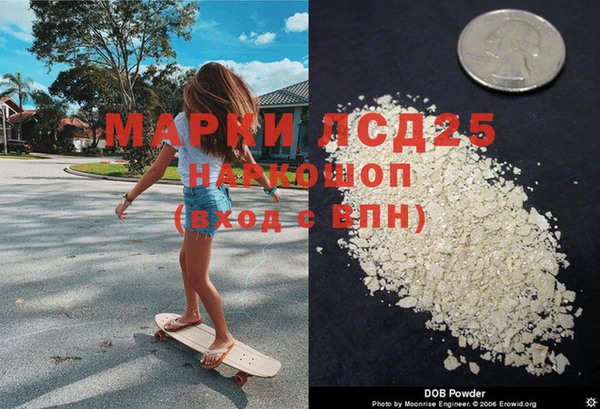 мяу мяу мука Абаза