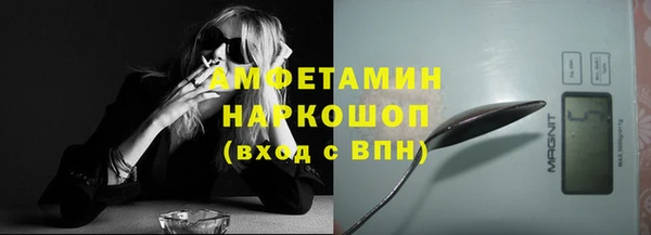 крисы Ростов