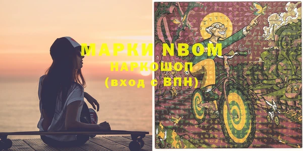 крисы Ростов