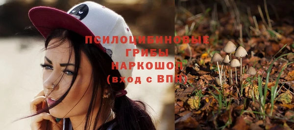 гидропоника Россошь